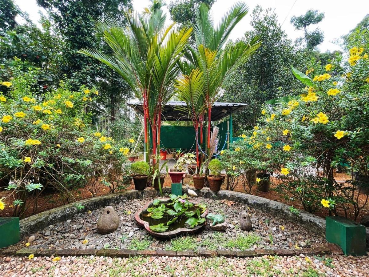 Kuttickattil Gardens Homestay Kottayam Eksteriør billede