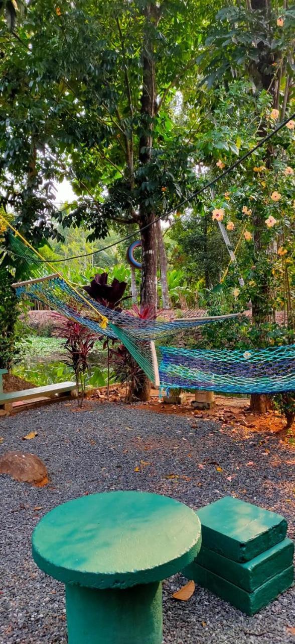 Kuttickattil Gardens Homestay Kottayam Eksteriør billede