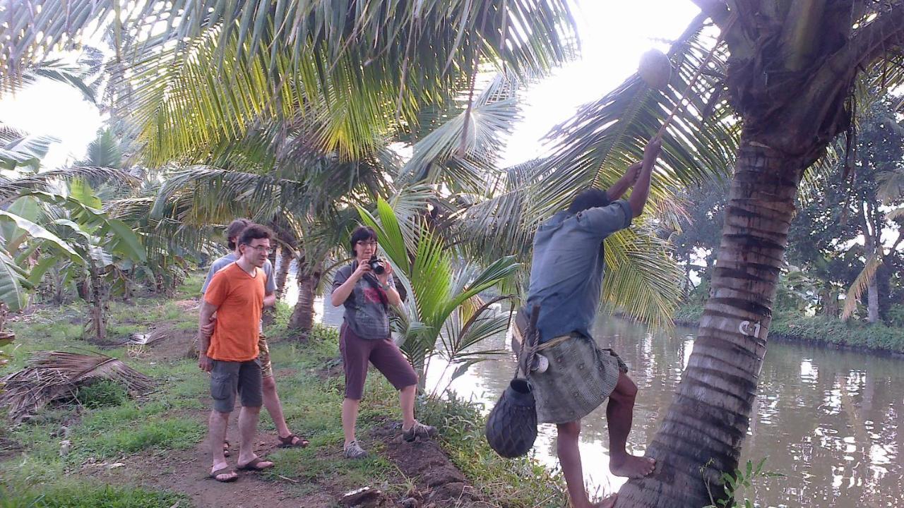 Kuttickattil Gardens Homestay Kottayam Eksteriør billede
