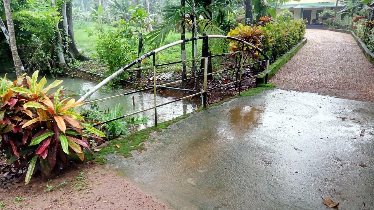 Kuttickattil Gardens Homestay Kottayam Eksteriør billede